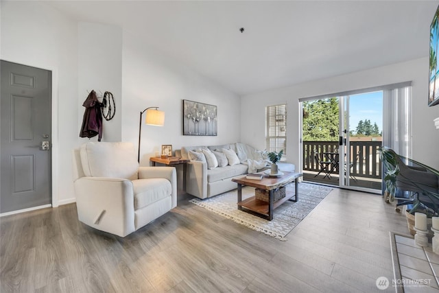 215 100th St SW Unit B307, Everett, WA 98204 - living room with wood finished floors and high vaulted ceiling