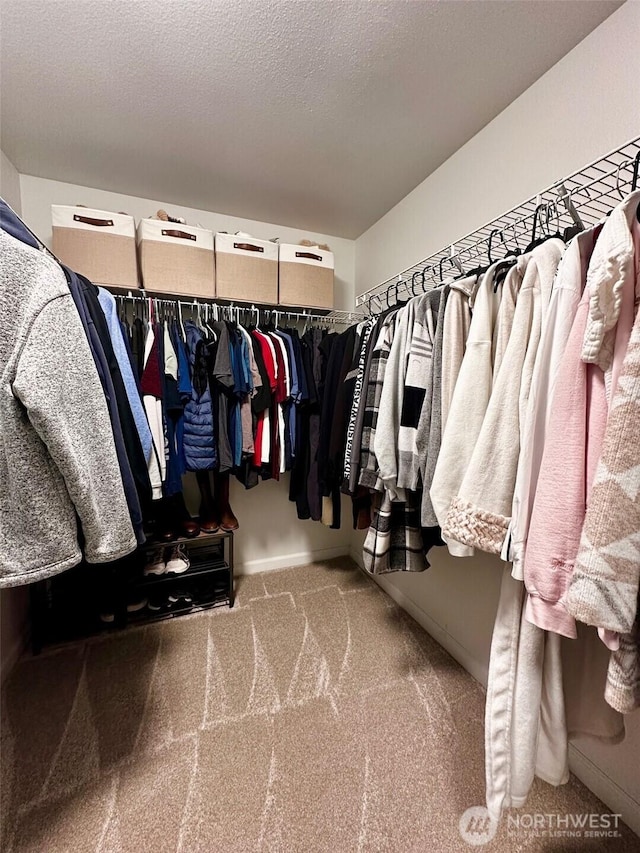 215 100th St SW Unit B307, Everett, WA 98204 - walk in closet with carpet
