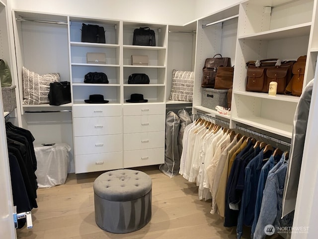 walk in closet featuring light wood-style floors