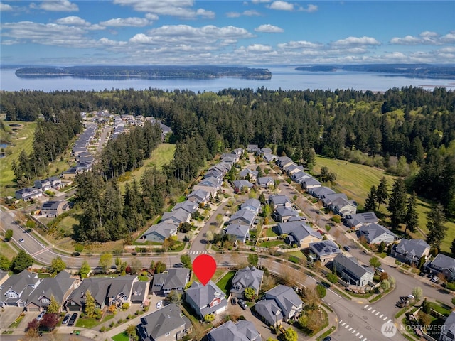 3806 Cameron Dr NE, Lacey, WA 98516 - photo 6