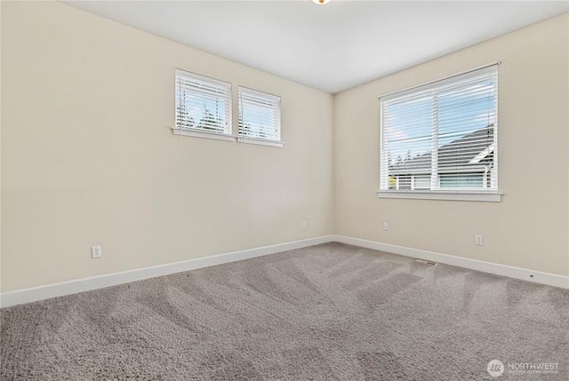 3806 Cameron Dr NE, Lacey, WA 98516 - photo 39