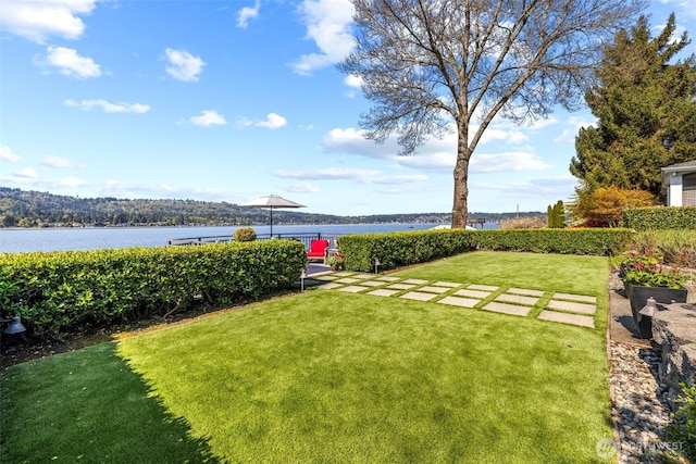3829 E Lake Sammamish Shore Ln SE, Sammamish, WA 98075 - view of yard with a water view