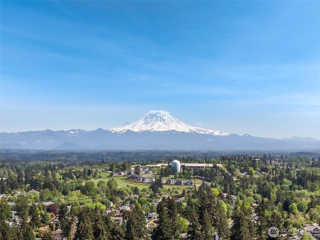 mountain view