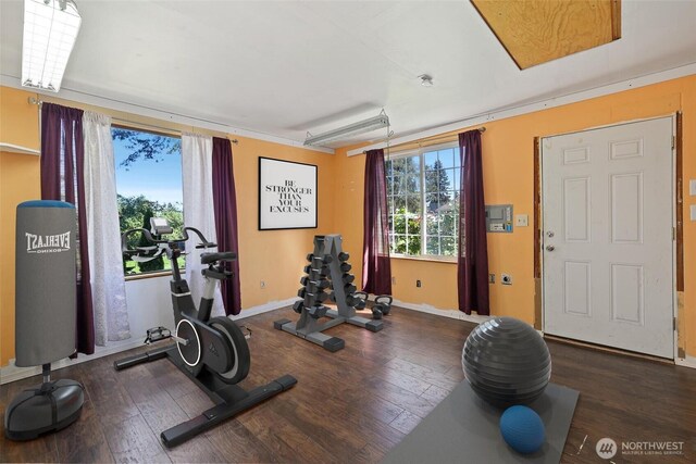 exercise area with hardwood / wood-style floors and baseboards