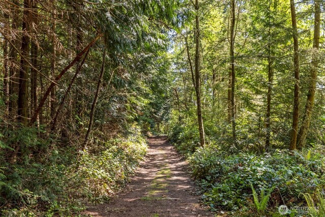 view of road featuring a wooded view