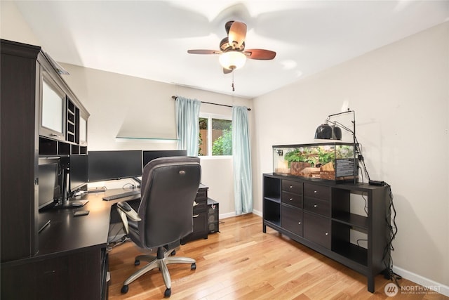 2858 32nd Ave W Unit 102, Seattle, WA 98199 - office area with baseboards, ceiling fan, and light wood finished floors