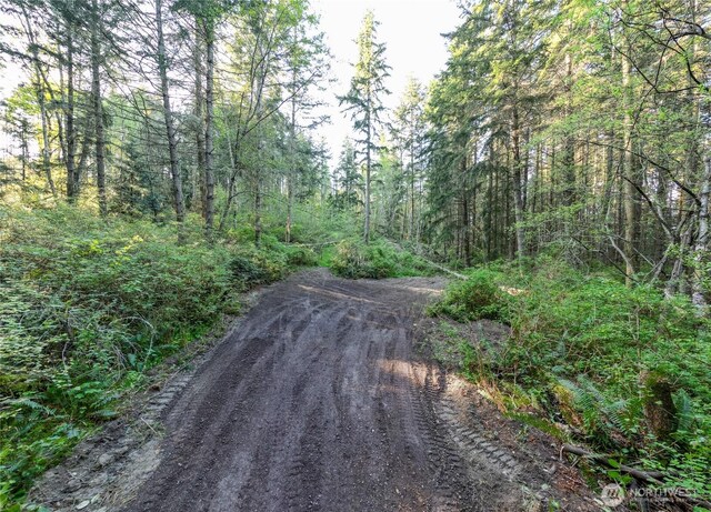 0 Discovery Ridge Rd, Port Townsend, WA 98368