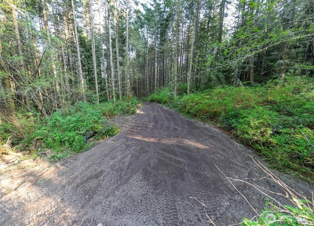 0 Discovery Ridge Rd, Port Townsend, WA 98368