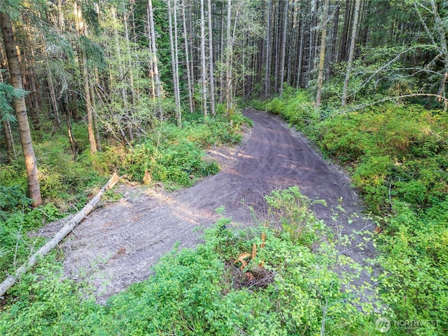 0 Discovery Ridge Rd, Port Townsend, WA 98368