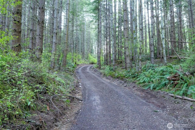 0 Discovery Ridge Rd, Port Townsend, WA 98368