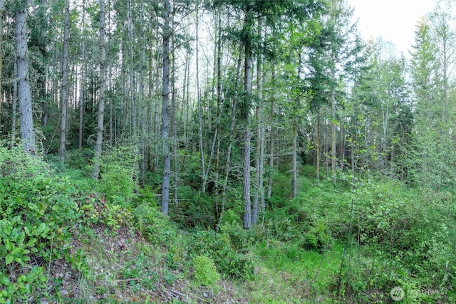 0 Discovery Ridge Rd, Port Townsend, WA 98368