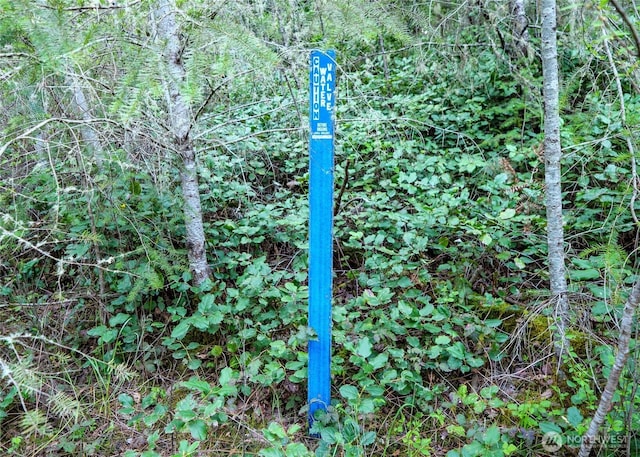 0 Discovery Ridge Rd, Port Townsend, WA 98368