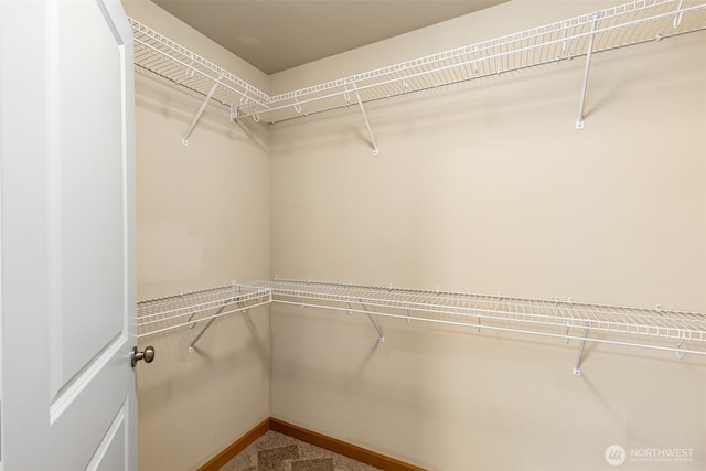 3639 Reagan Ave, Bremerton, WA 98310 - spacious closet with carpet