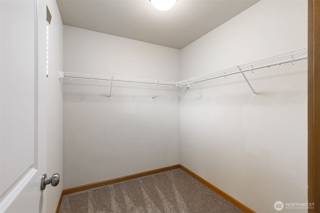 3639 Reagan Ave, Bremerton, WA 98310 - walk in closet with dark colored carpet