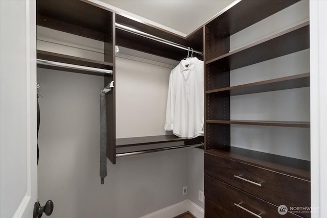 view of walk in closet