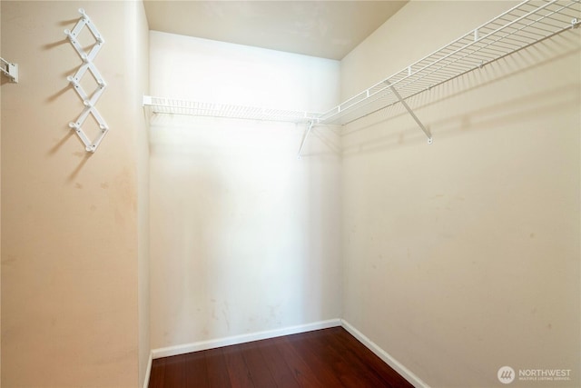177 107th Ave NE Unit 1501, Bellevue, WA 98004 - spacious closet with dark wood finished floors