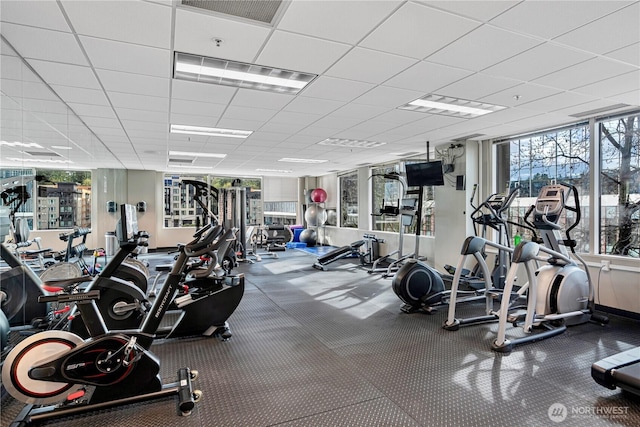 177 107th Ave NE Unit 1501, Bellevue, WA 98004 - gym featuring plenty of natural light and a drop ceiling