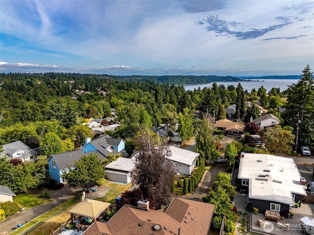 10839 35th Ave SW, Seattle, WA 98146 - aerial perspective of suburban area featuring a heavily wooded area and a nearby body of water