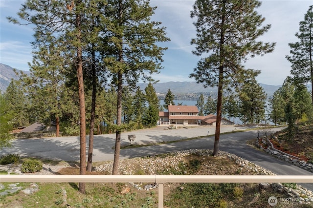 view of yard featuring a mountain view