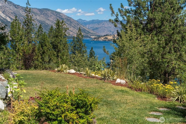 7379 Ridgeview Dr, Chelan, WA 98816 - photo 6