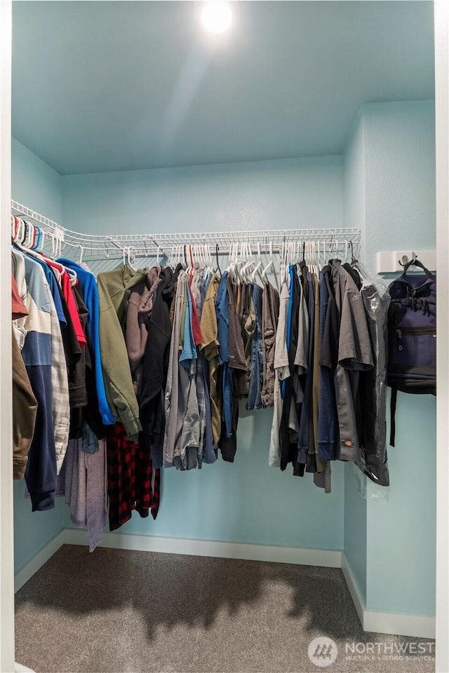 spacious closet with carpet floors