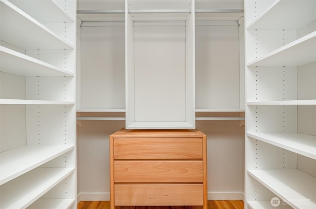 spacious closet with light wood-style flooring