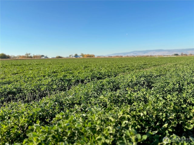 1XX Lyons Rd, Ellensburg, WA 98926