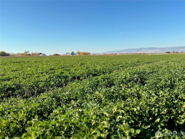 3XX Lyons Rd, Ellensburg, WA 98926