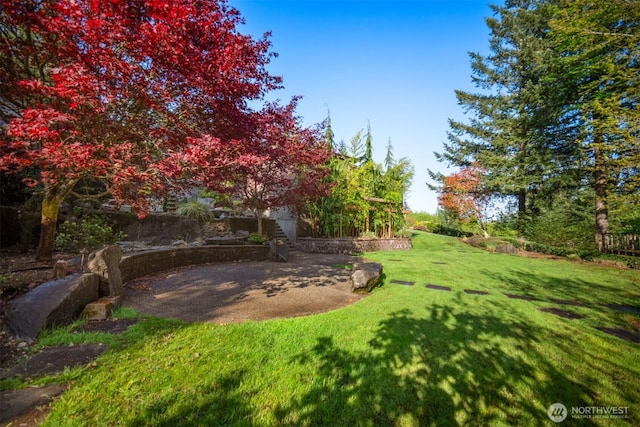 view of yard with a patio