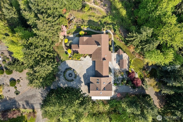 drone / aerial view