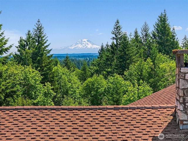 4902 Bush Mountain Dr SW, Tumwater, WA 98512 - photo 38