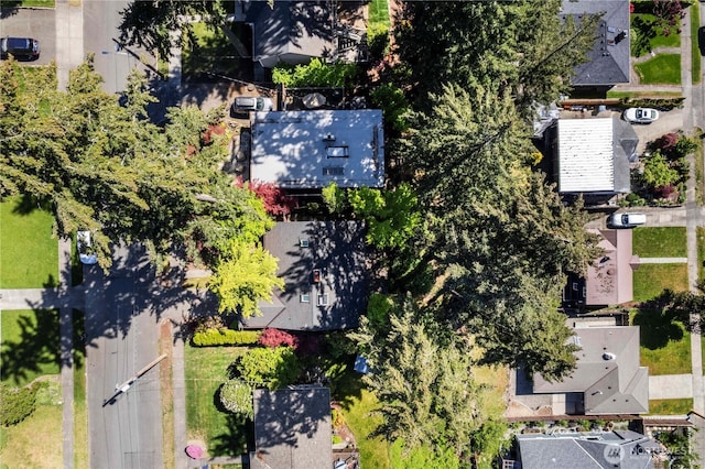 bird's eye view