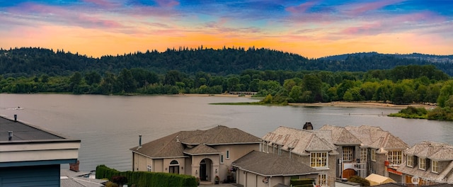 4888 194th Ave SE, Issaquah, WA 98027 - view of water feature with a wooded view
