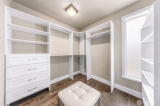 4888 194th Ave SE, Issaquah, WA 98027 - spacious closet with dark wood-style floors