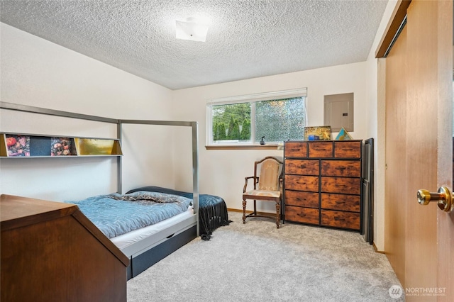 carpeted bedroom featuring baseboards, a textured ceiling, and electric panel