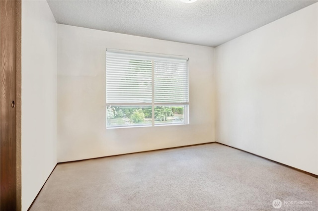 spare room with a textured ceiling and carpet flooring
