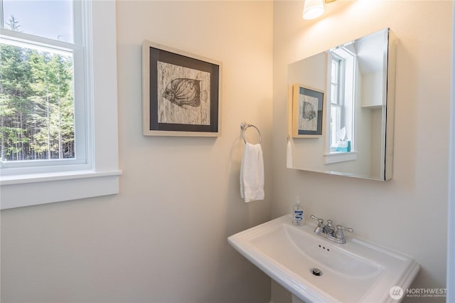 bathroom featuring a sink