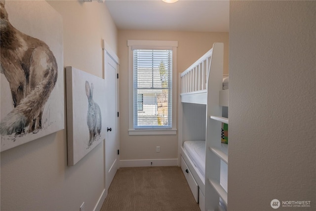 interior space with baseboards, carpet floors, and a healthy amount of sunlight