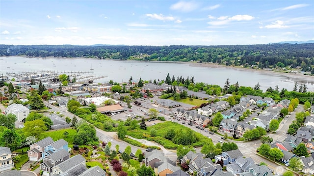 aerial view of residential area featuring a heavily wooded area and a large body of water