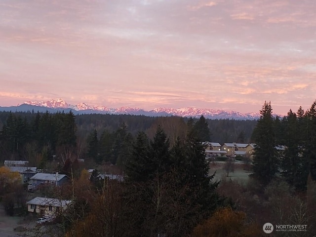 20145 Vikings Crest Loop NE Unit 3-105, Poulsbo, WA 98370 - mountain view featuring a wooded view