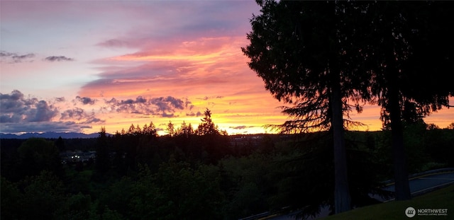 20145 Vikings Crest Loop NE Unit 3-105, Poulsbo, WA 98370 - mountain view