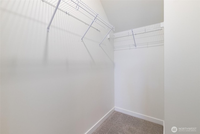 1360 Talus Way, Bellingham, WA 98226 - photo 26