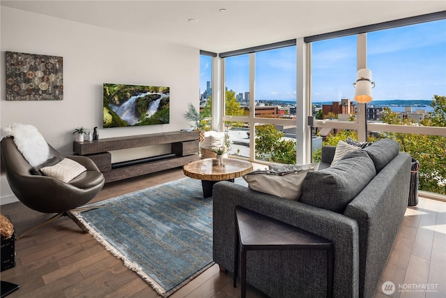 living room with hardwood / wood-style flooring and expansive windows