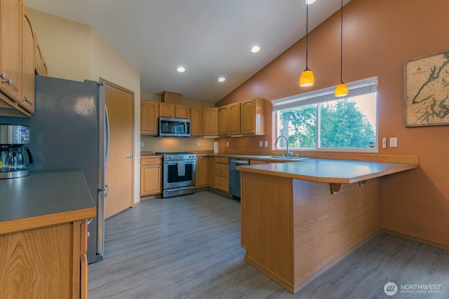 121 E Connemara Way, Shelton, WA 98584 - kitchen featuring stainless steel appliances, a peninsula, light wood finished floors, a sink, and a kitchen breakfast bar