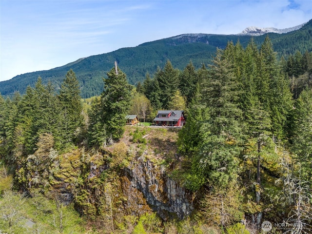 view of mountain feature featuring a view of trees