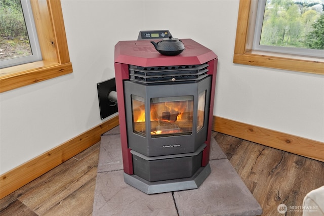 details with baseboards, wood finished floors, and a wood stove