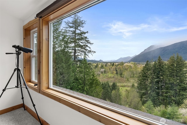 view of mountain feature