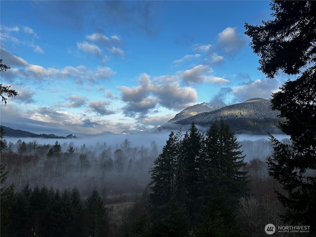 property view of mountains with a wooded view
