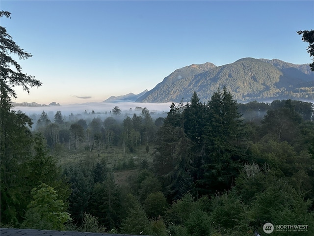120 Bonell Rd Unit 44, White Pass, WA 98377 - photo 17