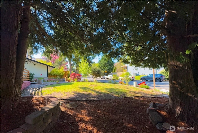 27526 26th Ave S, Federal Way, WA 98003 - view of yard